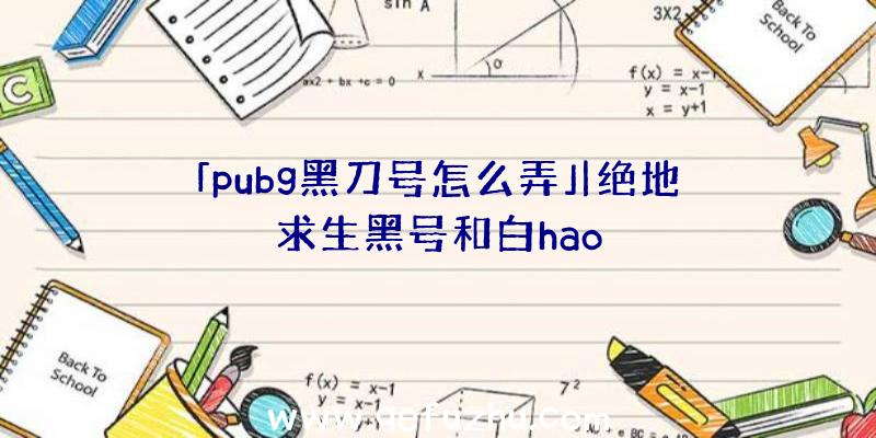 「pubg黑刀号怎么弄」|绝地求生黑号和白hao